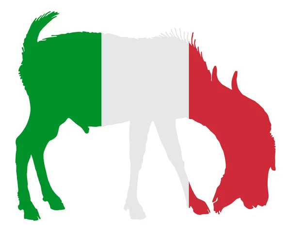 Capra capra italiana — Vettoriale Stock