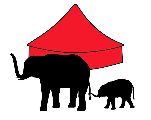 Elefantes en circo — Vector de stock