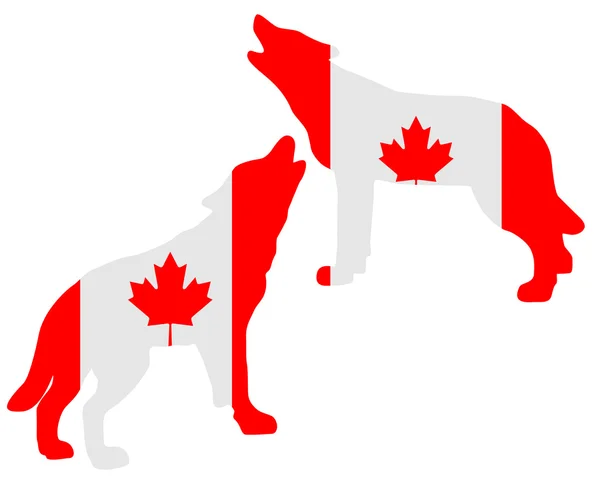 加拿大嚎叫的狼群 — 图库矢量图片