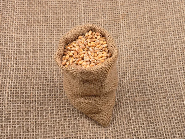Cereal bag on jute — Stock Photo, Image