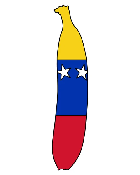 Banaan van venezuela — Stockvector