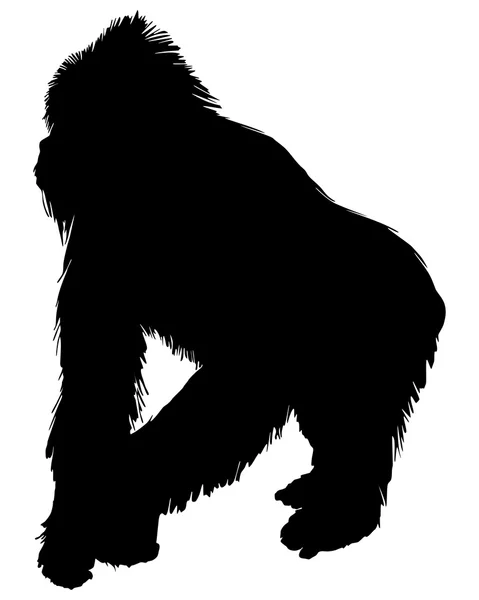 Gorila silueta — Stockový vektor