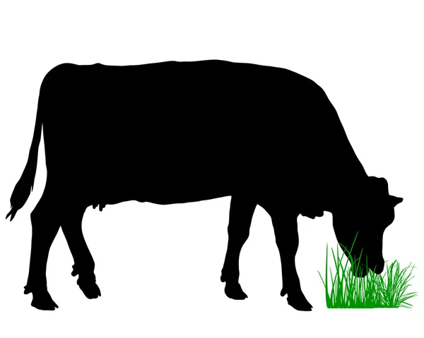 Vaca de pastoreo — Vector de stock