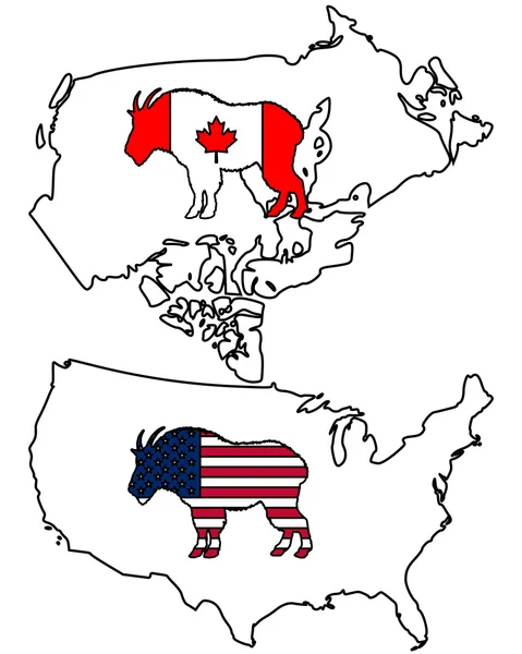 Chèvre de montagne Amérique du Nord — Image vectorielle