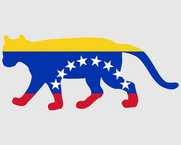 Cougar Venezuela — Stock Vector