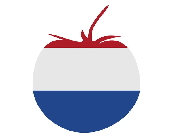 Голландська томатний — стоковий вектор