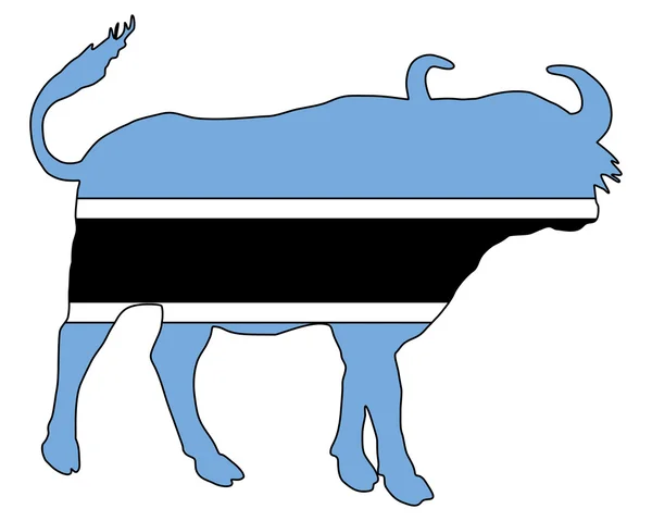 Botswana buffalo — Stockvector