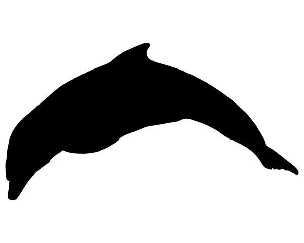 Silhouette dauphin — Image vectorielle