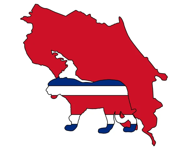 Jaguar Costa Rica — Image vectorielle