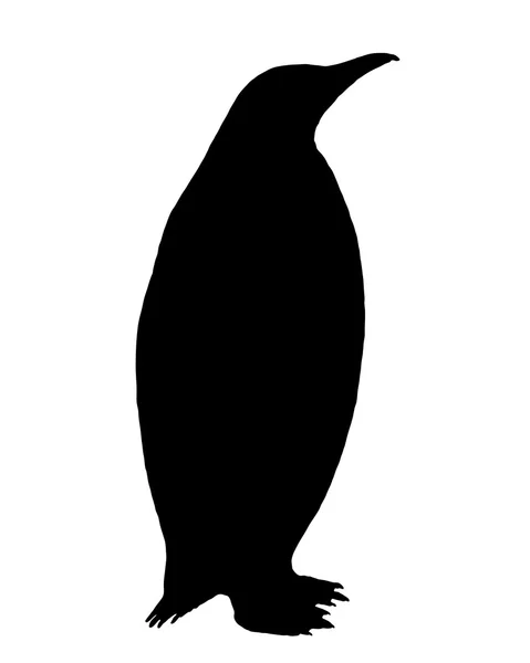 Pinguin-Silhouette — Stockvektor