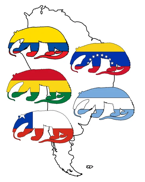 Anteater América del Sur — Vector de stock