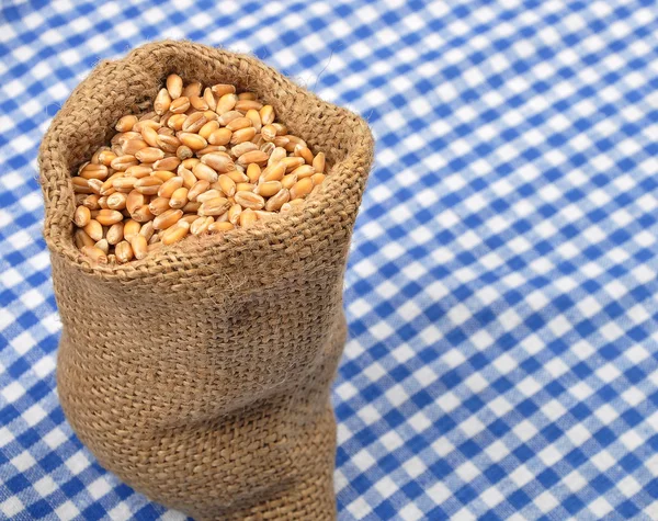 Пшеничный мешок на ткани — стоковое фото