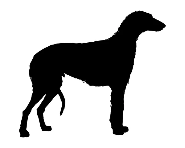 La silueta negra de un Deerhound escocés — Vector de stock