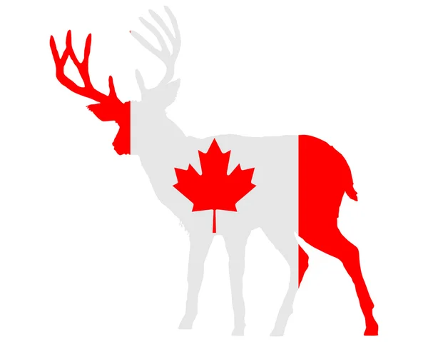 Kanadisches Rotwild — Stockvektor