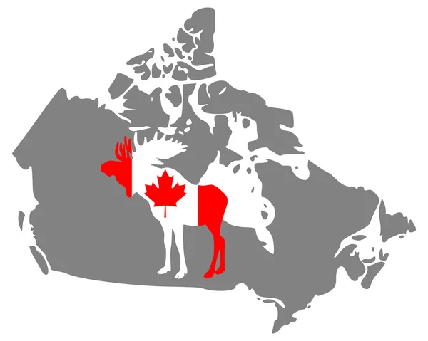 Canadese moose — Stockvector