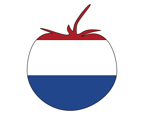 オランダのトマト — ストックベクタ