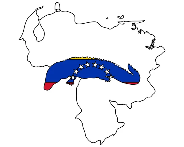 Caïman venezuela — Image vectorielle