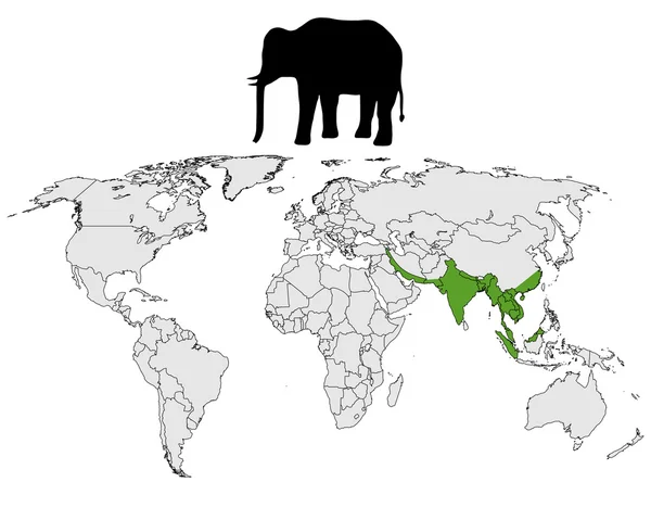 Gamme d'éléphants d'Asie — Image vectorielle