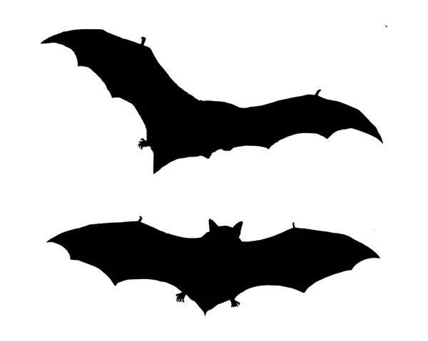 The black silhouette of two bats flying — Stock Vector