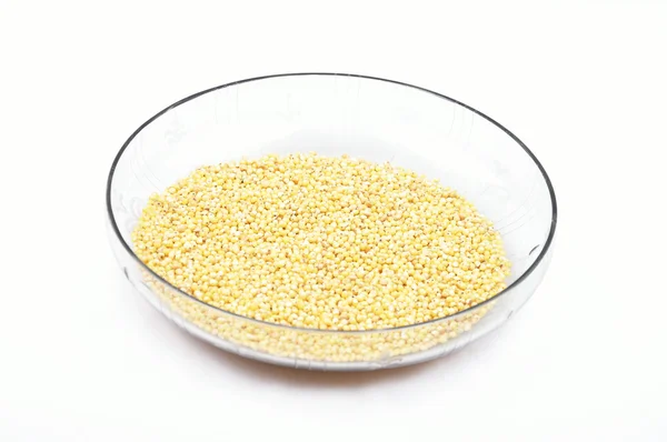 Sorghum in bowl of glass — Stock Photo, Image