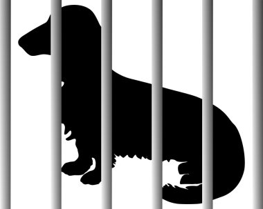 Dachshund hayvan barınağı olarak