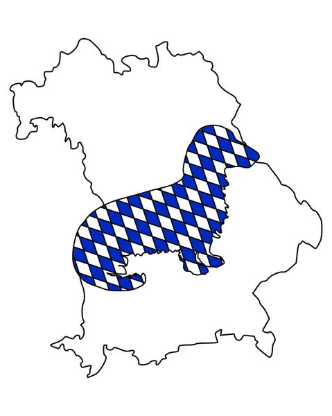 Blaireau bavarois à poils longs — Image vectorielle