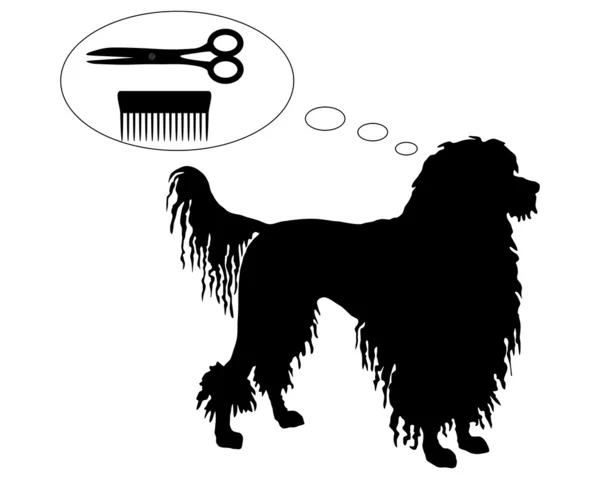 Portuguese Water Dog dreams of scissors and comb — Stock Vector