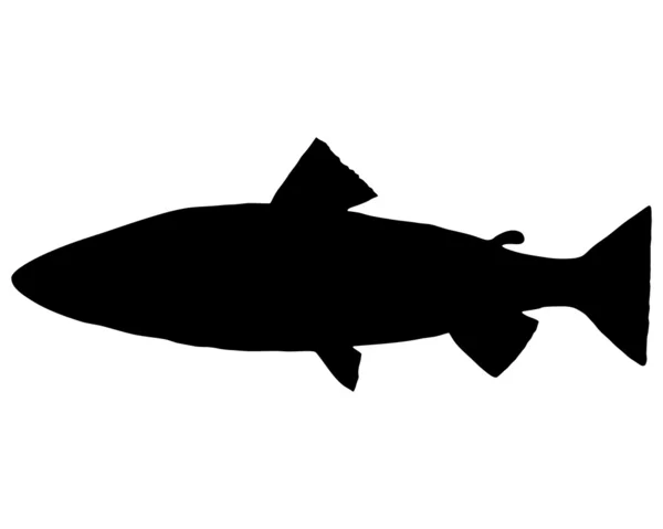 Trout silhouette — Stock Vector