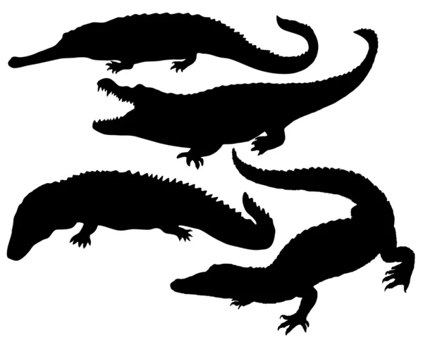 Reptil siluett — Stock vektor