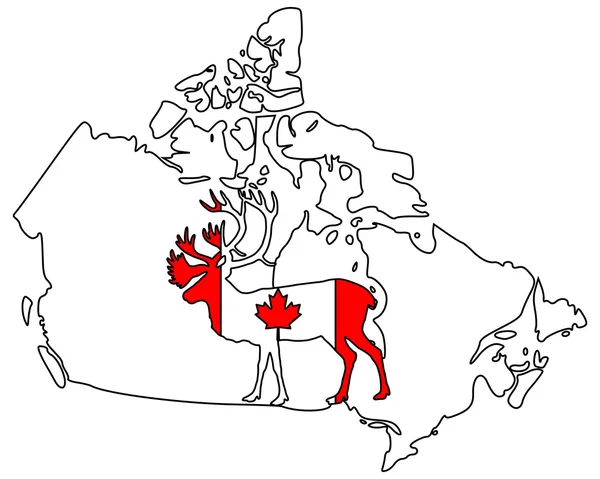 Καναδική καριμπού — Διανυσματικό Αρχείο