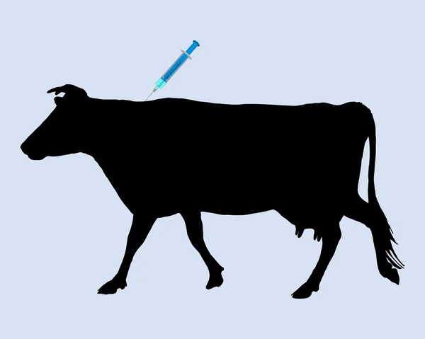 Cow gets an inoculation against blue tongue disease — Stock Vector