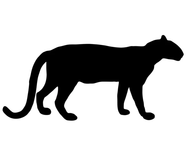 Leopard силует — стоковий вектор