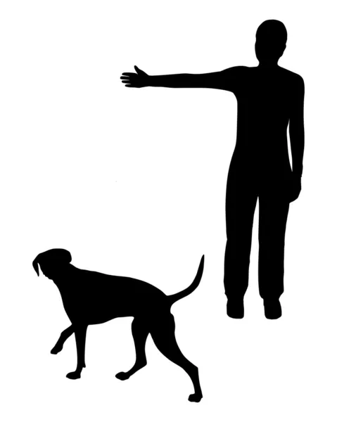 Entrenamiento de perros (obediencia): Comando: Ir a la derecha ! — Vector de stock