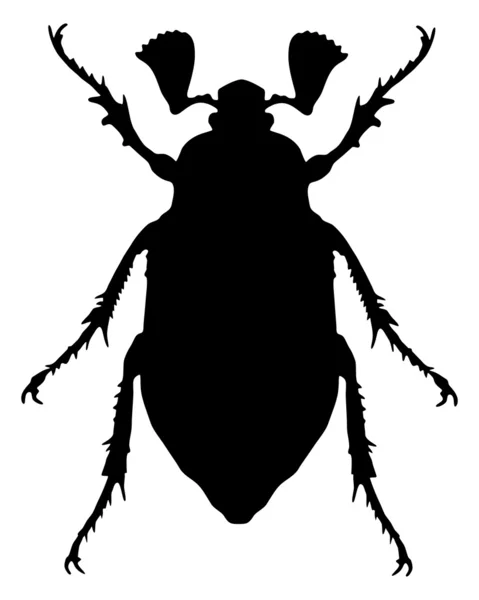 Cockchafer silhouette — Stock Vector