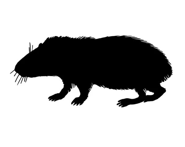 La silhouette noire d'un cobaye sur fond blanc — Image vectorielle
