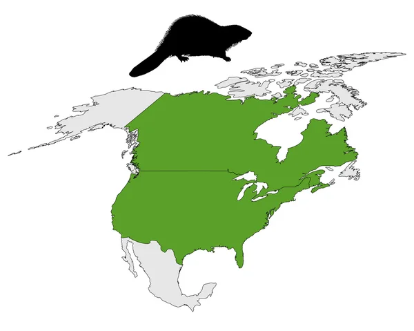 Répartition du castor canadien — Image vectorielle