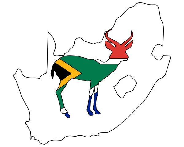 South Africa antilope — Stock Vector