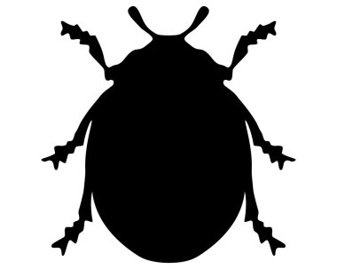 uğur böceği siluet