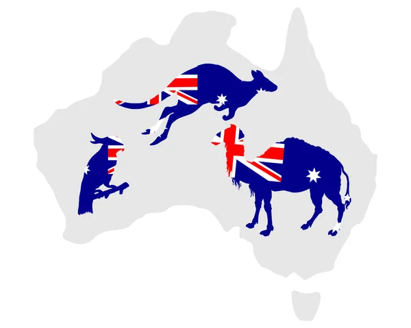 Australian animals — Stock Vector