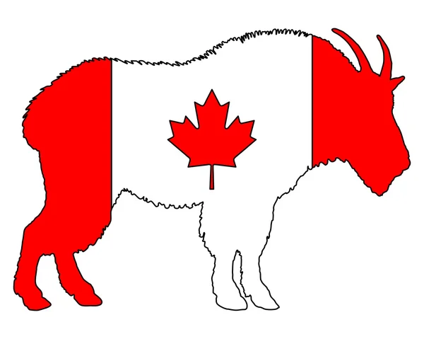 Berggeit canada — Stockvector