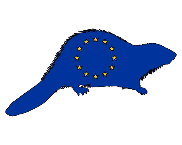European beaver — Stock Vector
