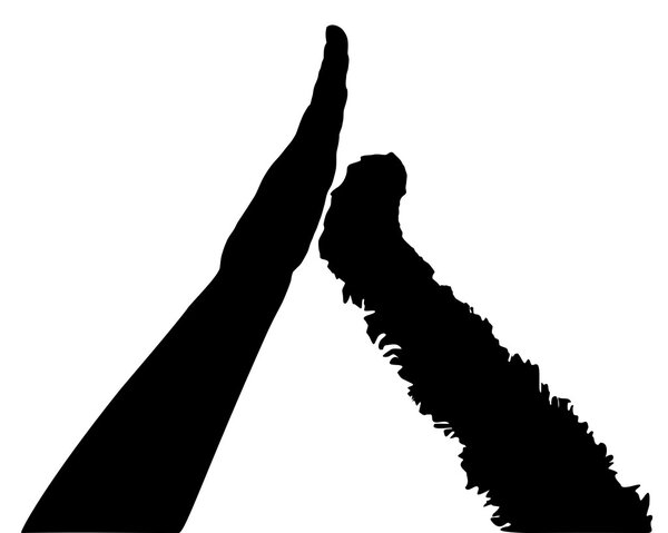 Дай мне пять.
