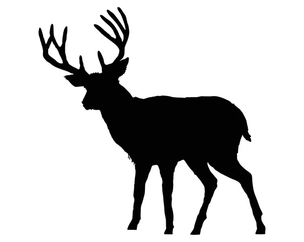 La sagoma nera di un cervo su bianco — Vettoriale Stock