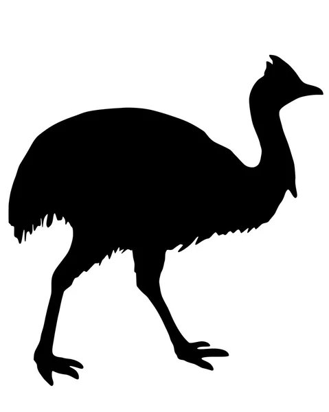 Silhouette di Kassowary — Vettoriale Stock