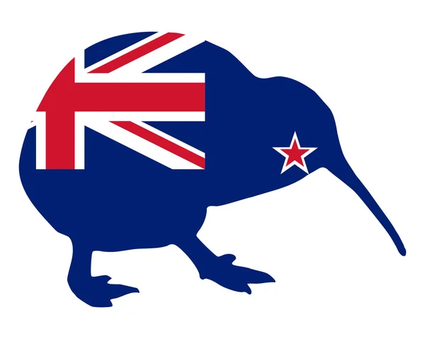 New Zealand kiwi — Stock Vector