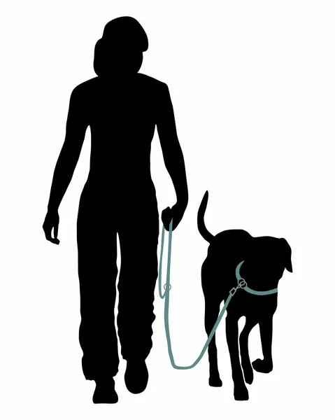 Dog training (Obedience): Command: Go at the leash! — Stock Vector