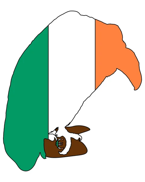 Buitre irlandés roto — Vector de stock