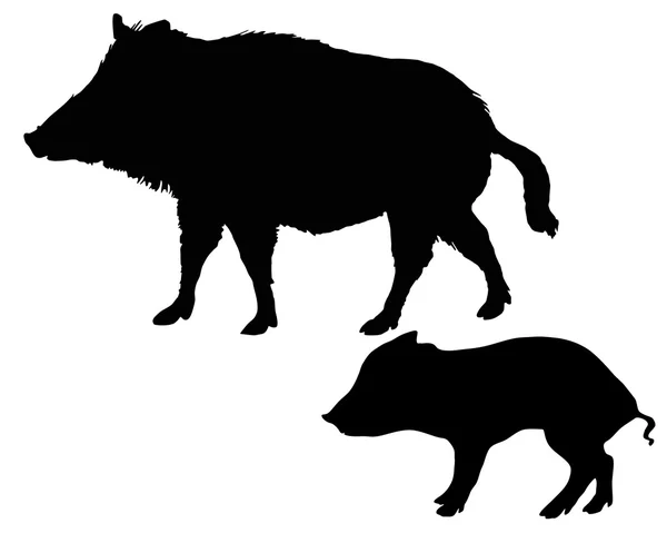 Wildschweinsilhouetten — Stockvektor