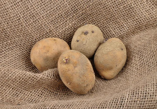 Potatoes on jute — Stock Photo, Image