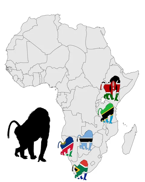 Mapa de alcance do babuíno — Vetor de Stock